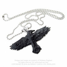 Load image into Gallery viewer, Black raven necklace - Alchemy gothic