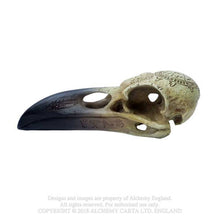 Load image into Gallery viewer, Omega Raven skull - Corvus - Alchemy gothic