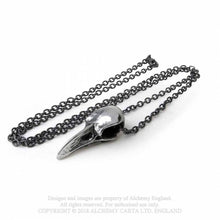 Load image into Gallery viewer, Rabenschadel klein - Raven skull - Alchemy gothic
