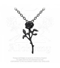 Load image into Gallery viewer, The Romance of The Black Rose necklace - Alchemy Gothic