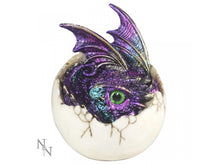Load image into Gallery viewer, Baby dragon hatchling - Amethon