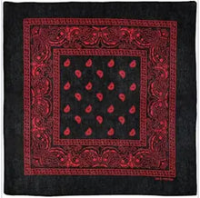 Load image into Gallery viewer, Bandana - black and red paisley

