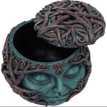 Load image into Gallery viewer, Tree spirit treasure trinket Box 13cm
