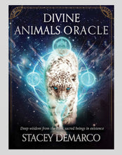 Load image into Gallery viewer, Oracle cards - Divine animals oracle - Stacey Demarco
