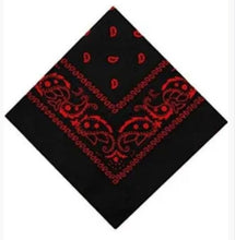 Load image into Gallery viewer, Bandana - black and red paisley
