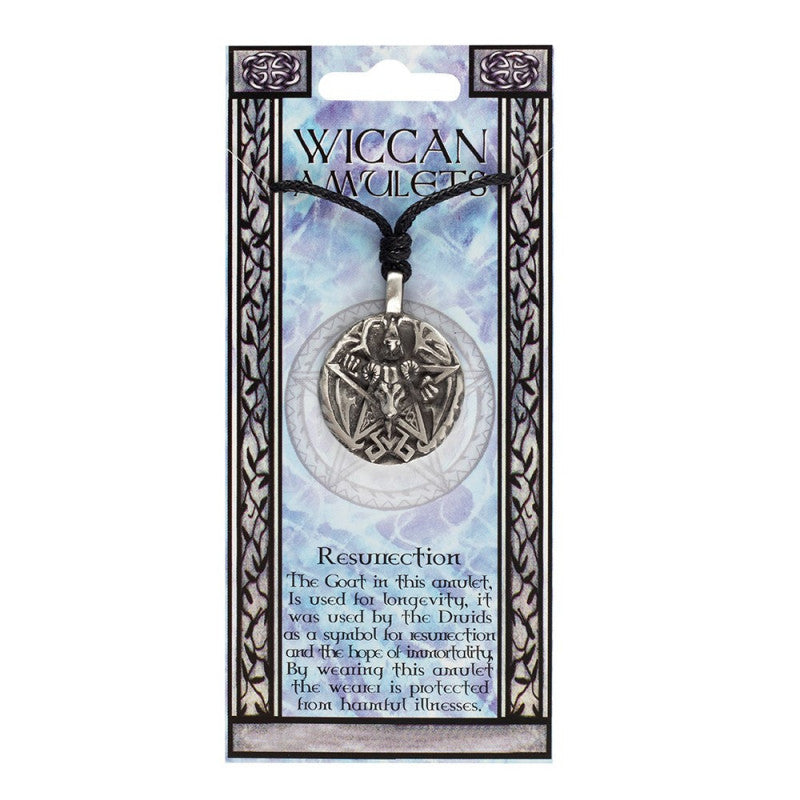 Wiccan Amulet Necklace - Resurrection
