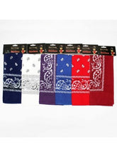 Load image into Gallery viewer, Bandana - Paisley (5 colours)
