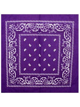 Load image into Gallery viewer, Bandana - Paisley (5 colours)
