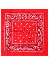 Load image into Gallery viewer, Bandana - Paisley (5 colours)
