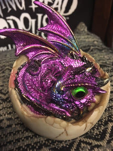 Baby dragon hatchling - Amethon