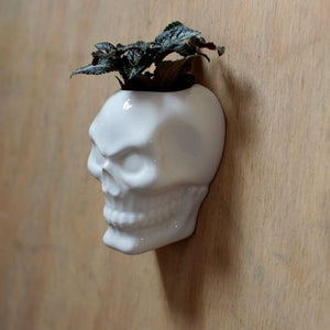 Skull Wall Planter, ceramic