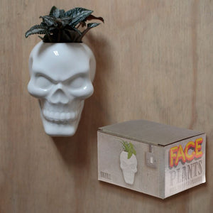 Skull Wall Planter, ceramic
