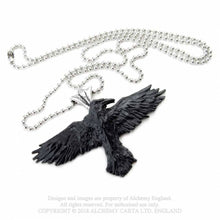 Load image into Gallery viewer, Black raven necklace - Alchemy gothic
