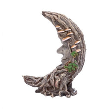Load image into Gallery viewer, Luna oak moon tree spirit 17.5cm

