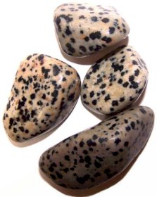 Tumblestone - dalmation jasper