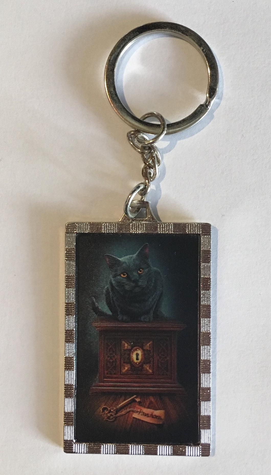 Metal keyring - Pandora’s box cat 3D pic