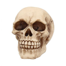 Load image into Gallery viewer, Joker skull 12cm
