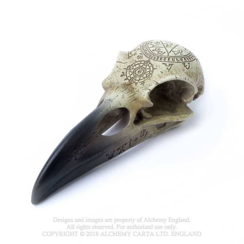 Omega Raven skull - Corvus - Alchemy gothic