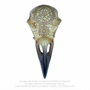 Omega Raven skull - Corvus - Alchemy gothic