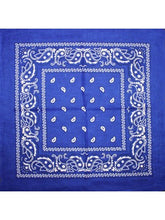 Load image into Gallery viewer, Bandana - Paisley (5 colours)
