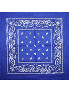 Bandana - Paisley (5 colours)
