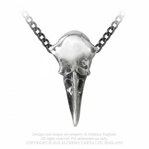 Rabenschadel klein - Raven skull - Alchemy gothic