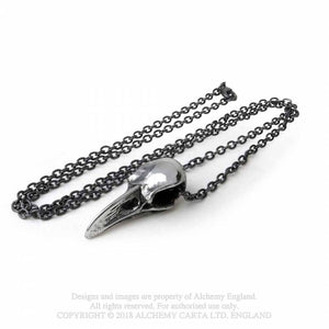 Rabenschadel klein - Raven skull - Alchemy gothic