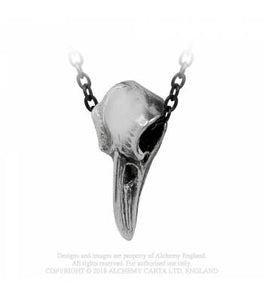 Rabenschadel klein - Raven skull - Alchemy gothic