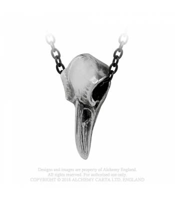 Rabenschadel klein - Raven skull - Alchemy gothic