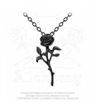 Load image into Gallery viewer, The Romance of The Black Rose necklace - Alchemy Gothic
