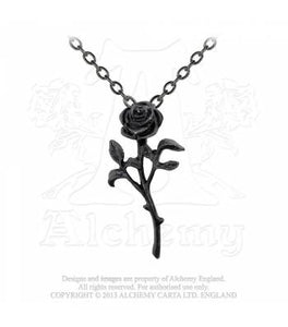 The Romance of The Black Rose necklace - Alchemy Gothic