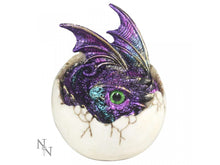 Load image into Gallery viewer, Baby dragon hatchling - Amethon
