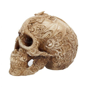 Skull - Cranial drakos 19.5cm