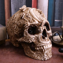 Load image into Gallery viewer, Skull - Cranial drakos 19.5cm
