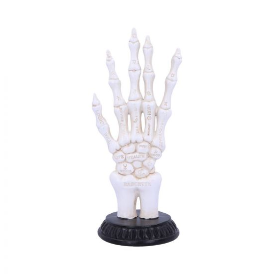 Skeletal palmistry 22.8 cm