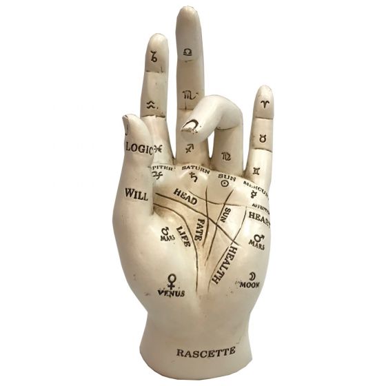 Chiromancy Palmistry hand 17cm