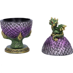 Egg guardian - dragon box